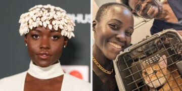 Despite Being Afraid Of Cats For Years, Lupita Nyong'o Adopted A Cat To Help Mend Her Broken Heart, And It Turned Out To Be The Perfect Cure
