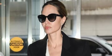 Angelina Jolie Wore Fall's #1 Dress Trend to the Airport