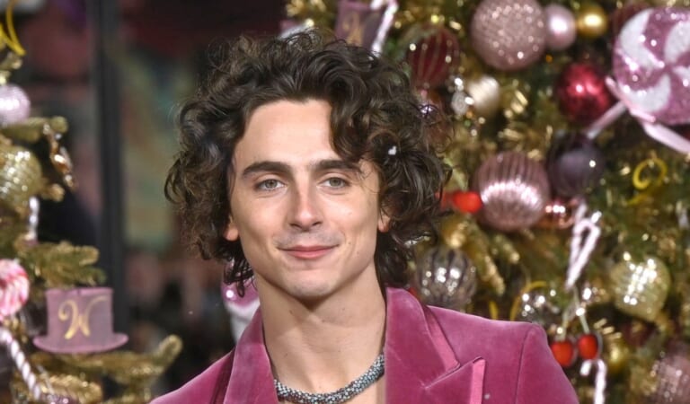 All About Timothee Chalamet’s Candy Necklace at ‘Wonka’ Premiere
