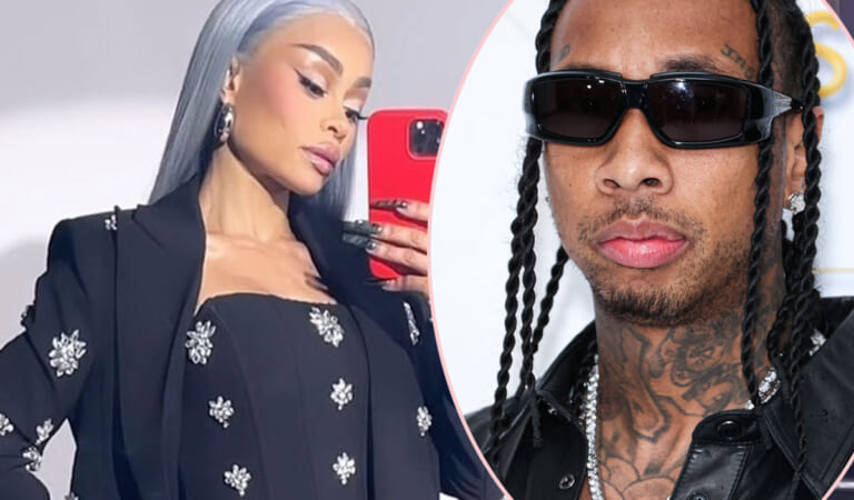 Blac Chyna Finished Her Court-Mandated Course Amid Tense Custody Battle With Tyga!