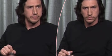 Fans LOVE Adam Driver's Savage Response To Terrible Audience Question!