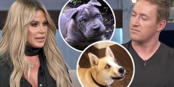 Kim Zolciak & Kroy Biermann In Doghouse After Neighbors Call Cops On Them After Their Unleashed Dog ‘Almost Attacked’ Kids!