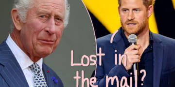 Prince Harry NOT Invited To King Charles' Birthday?!