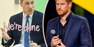 Harry & William Relationship Beyond Repair – ‘There’s No Going Back’