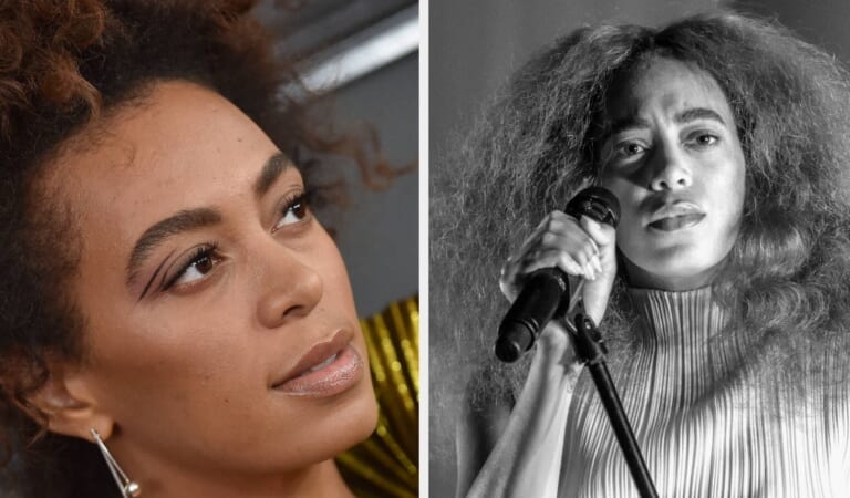 Solange Reacted To Negative Tweets About Her Parenting