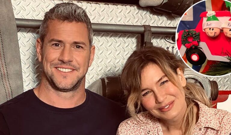 Ant Anstead’s Christmas Tree Features Renee Zellweger Ornament