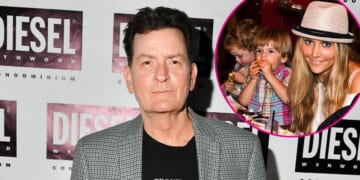 Charlie Sheen Says Brooke Mueller Is Not 'in the Picture' With Twins