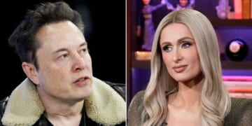Elon Musk Pans Paris Hilton's Advertising Campaign on X After Boycott