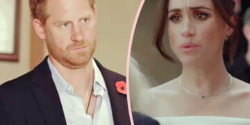 Harry & Meghan's Archewell Charity Donations Have CRATERED!