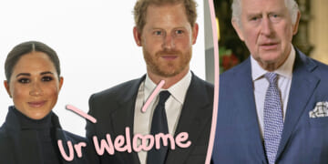 Prince Harry & Meghan Markle Are Trying To Give King Charles THIS For Christmas??