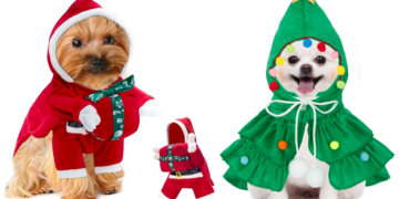 These 15 Cutest Pet Christmas Outfits Are Paws-Itively Perfect