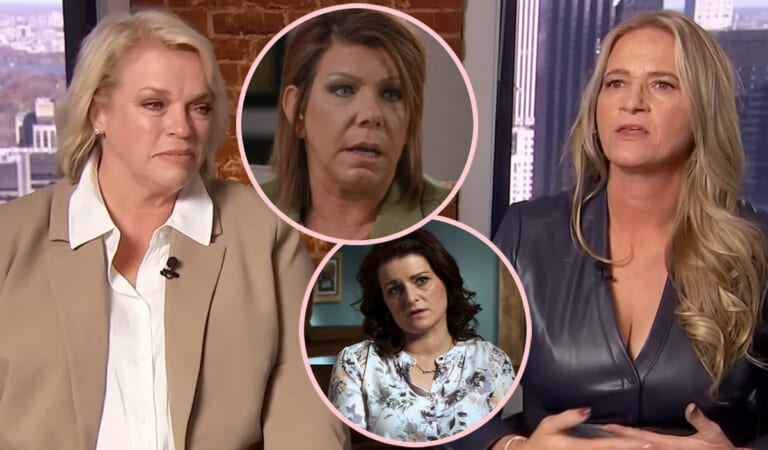 Where Christine & Janelle Brown Stand With Former Sister Wives Meri & Robyn!