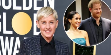 Ellen DeGeneres Says Prince Harry, Meghan Markle Adopted Her Chicken