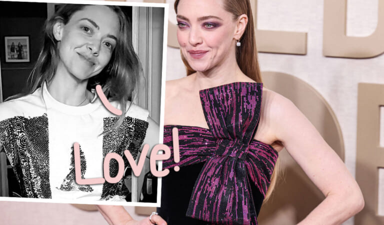 Amanda Seyfried Skipped The Emmys – But Did Glam Up In A Gown Designed By Her 6-Year-Old Daughter!