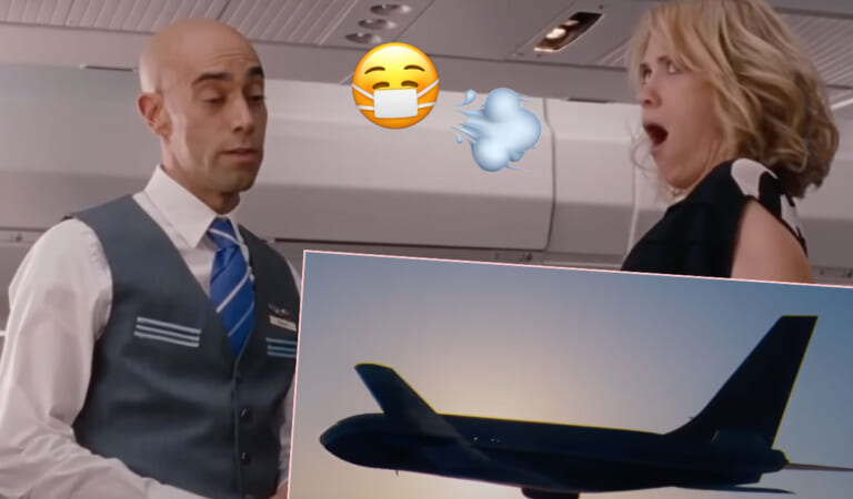 FARTING Airplane Passenger Reportedly Caused Flight To Turn Around!