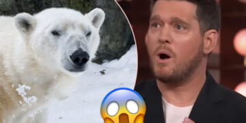 Michael Bublé Reveals He Almost Got Eaten By A Polar Bear?!