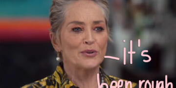 Sharon Stone Shares Her Online Dating Horror Stories -- Including Meeting A 'Convicted Felon'!