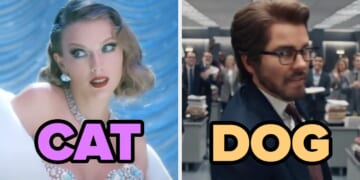 Pick Taylor Swift Songs To Add To My Playlist And I'll Tell You If You're A Cat Or A Dog!