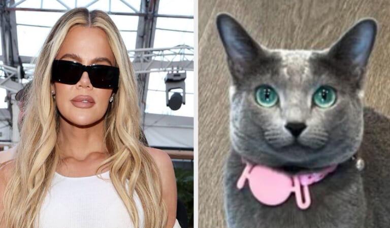 Khloé Kardashian Has Been Accused Of Facetuning Her Cat In A New Photo. And Yes, You Did Read That Correctly.