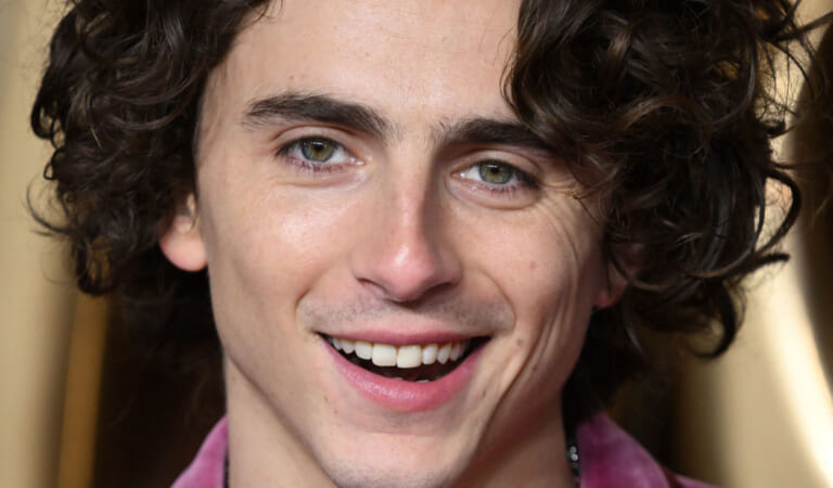 Timothée Chalamet Heard Everyone Complaining About His Last "Dune" Outfit, Because His Latest One Is Much, Much Better