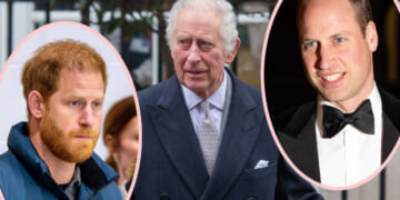 King Charles Rejecting Prince Harry Offer Return William