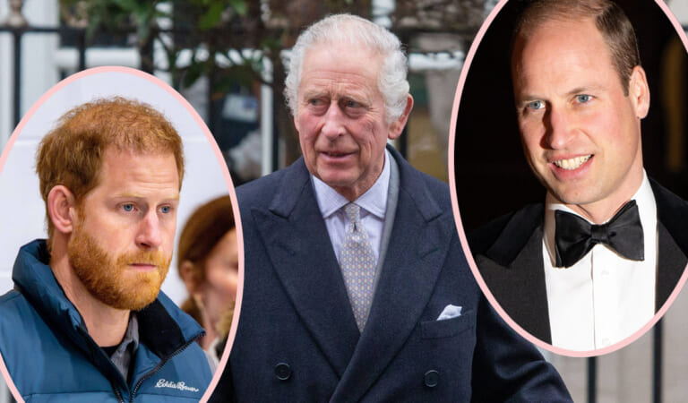King Charles Wants To ‘Mend Fences’ With Prince Harry – But Will Insisted On ‘Swift & Brutal’ Rejection!