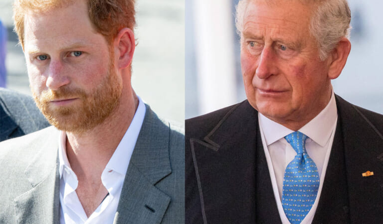 Prince Harry ‘Really Wants’ To Fix Relationship With King Charles Amid Cancer Battle, BUT…