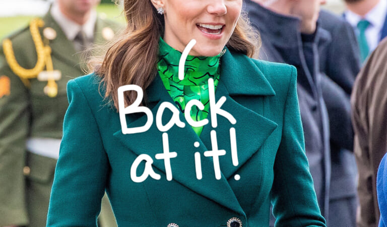 Princess Catherine Is Already ‘Back Working From Her Bed’ And ‘Planning Engagements’ After Surgery?!