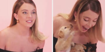 Sydney Sweeney Does Puppy Interview, Madame Web