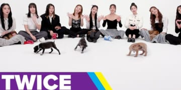 TWICE Played With Puppies, And It's My New Favorite Thing