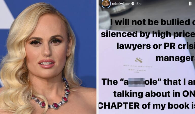 After Claiming She’s Being Threatened By An Unnamed Celebrity With A “Crisis PR Manager” Over A Chapter In Her Memoir, Rebel Wilson Has Revealed His Identity