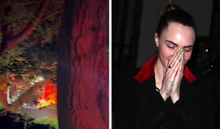 Cara Delevingne House Fire Cause Revealed By Parents