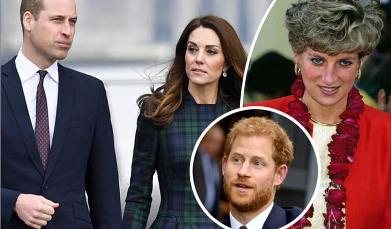 Princess Catherine Media Storm Reminds William Of Mother Diana’s Struggles With Press: REPORT