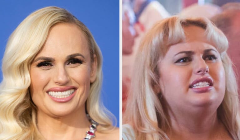 Rebel Wilson Was Degraded On The Brothers Grimsby