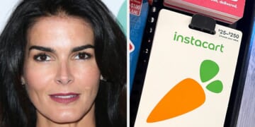 Angie Harmon Says An Instacart Driver Killed Her Dog — And Instacart Issued A Statement In Response