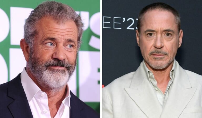 Mel Gibson and Robert Downey Jr. Would Be Canceled Without Each Other