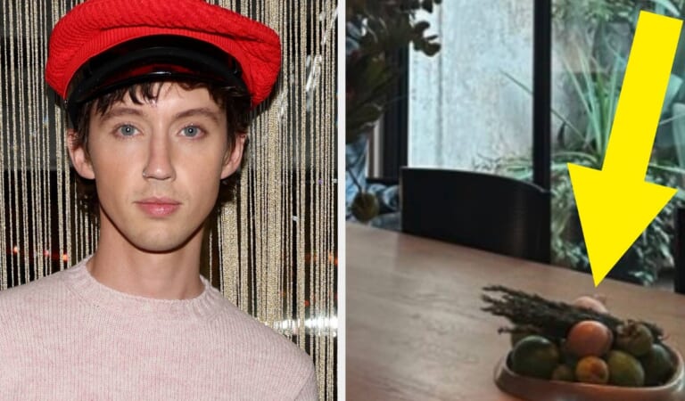 Troye Sivan Is Showing Off His "Bottomless (And Baseless) Bowl," And People Have A Few Concerns