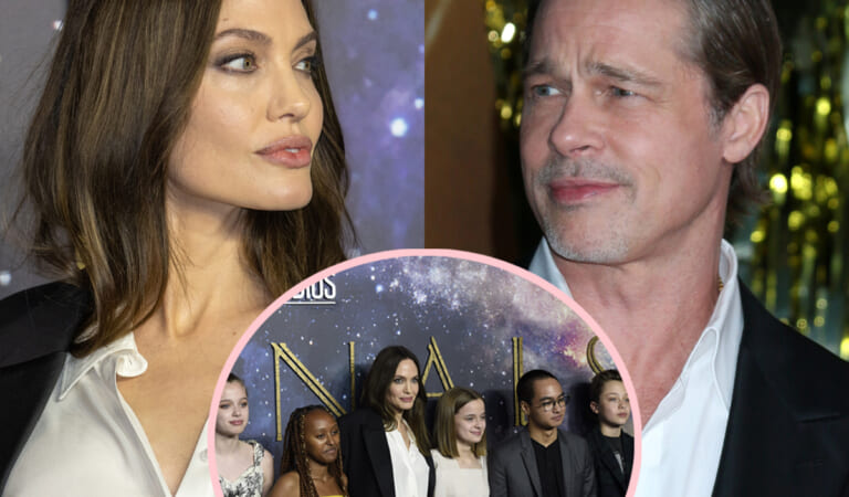 Brad Pitt’s ‘Physical Abuse Of’ Angelina Jolie Started BEFORE 2016 Plane Incident, Says Court Filing!