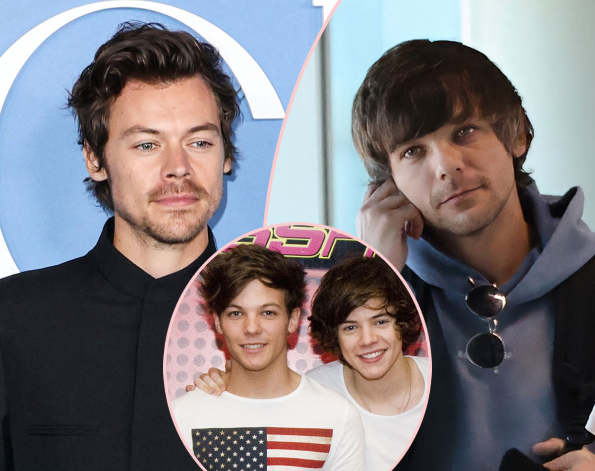 Louis Tomlinson Is Tired Of Fighting Harry Styles Conspiracy Theories!