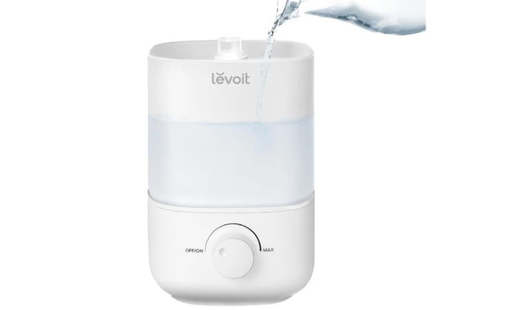 This Air Humidifier Is Perfect for Battling Sinuses and Dry Skin