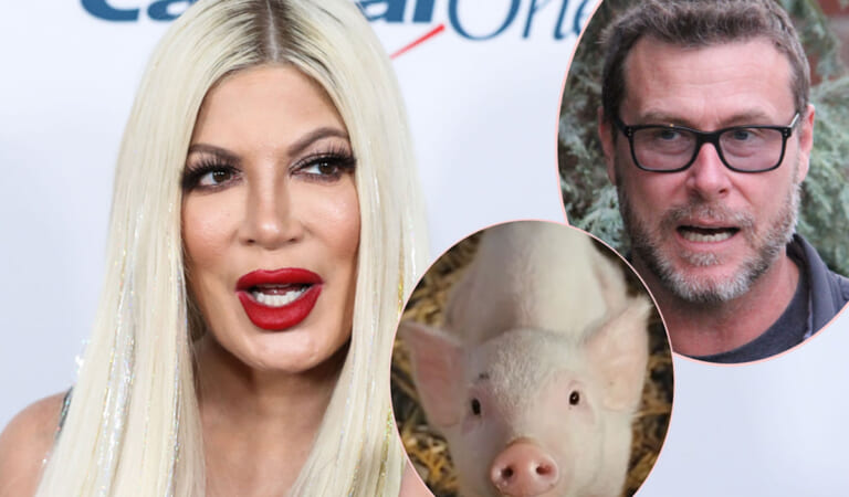Tori Spelling Explains That Story About The Pig In Her Bed That Drove Dean McDermott Away