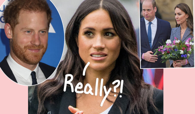 Yes, Royal Experts Are STILL Blaming Meghan Markle For William & Harry’s Issues!